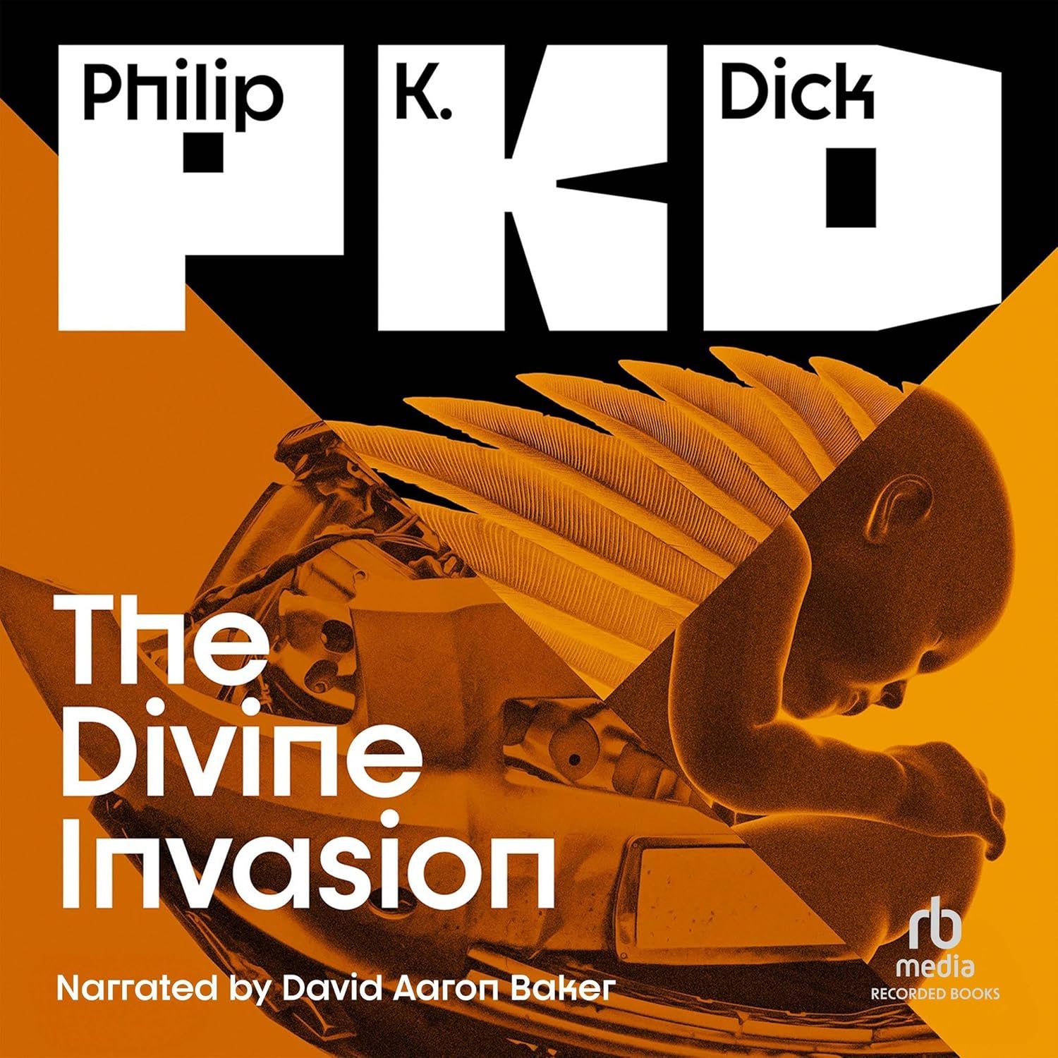 Now playing: The Divine Invasion (narrated by David Aaron Baker)