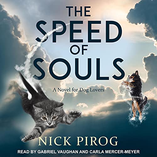The Speed of Souls in Literature & Fiction — the list